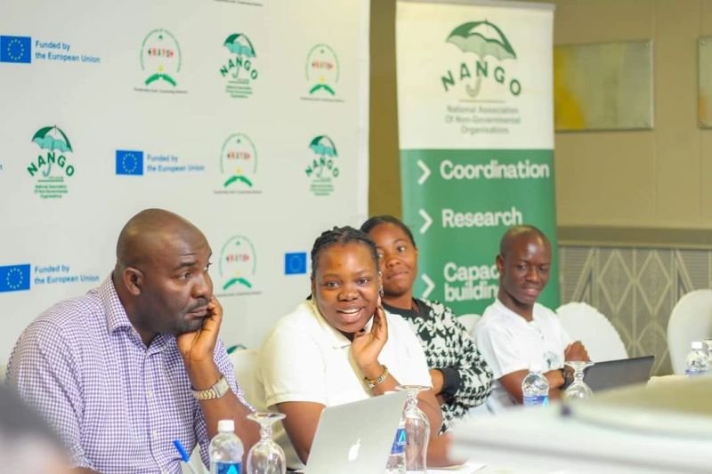 Perspectives on Zimbabwe’s Civic Environment